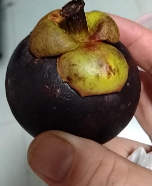 第一次买山竹！