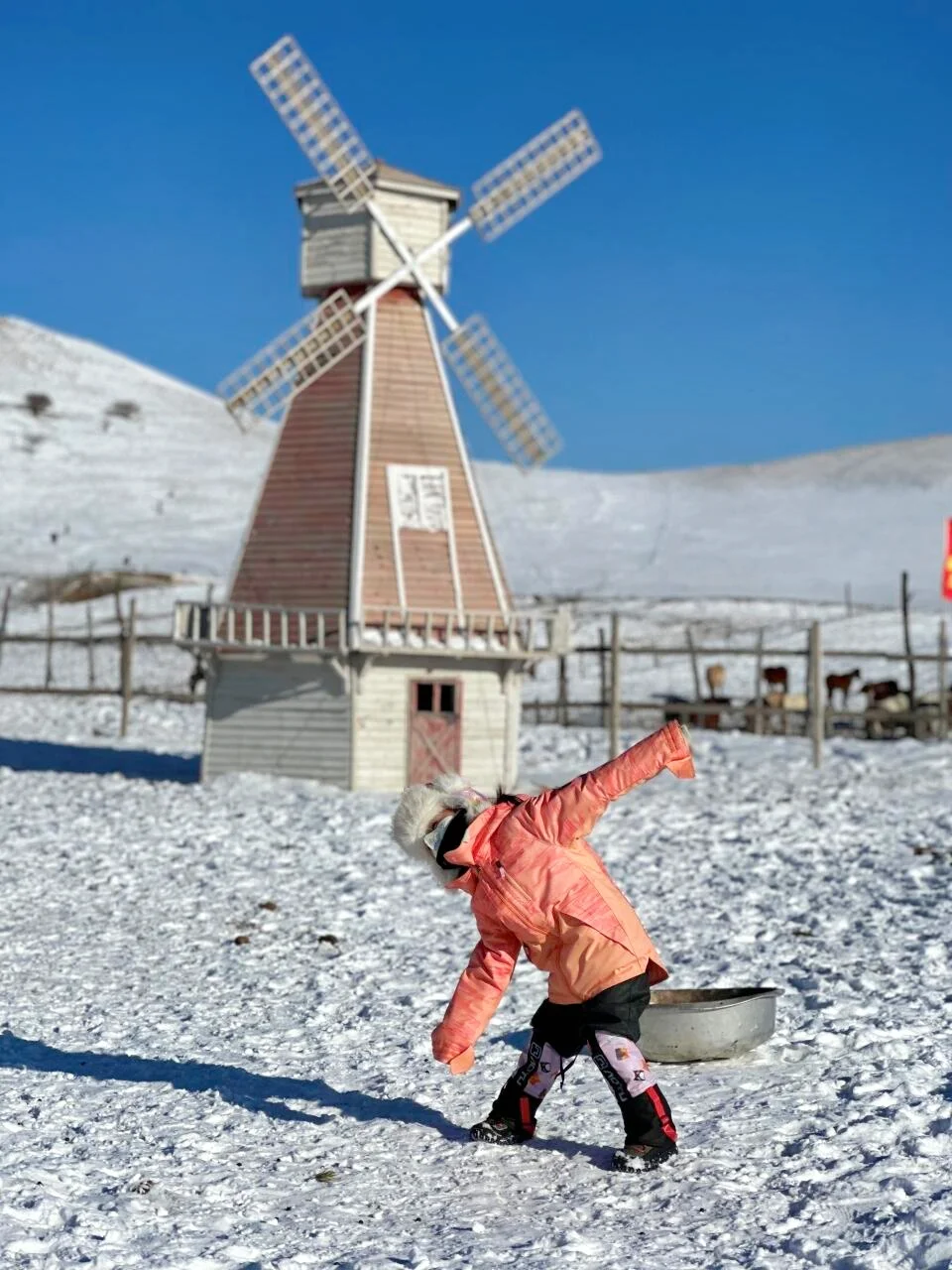 人生建议：寒假一定要带娃去乌兰布统看雪