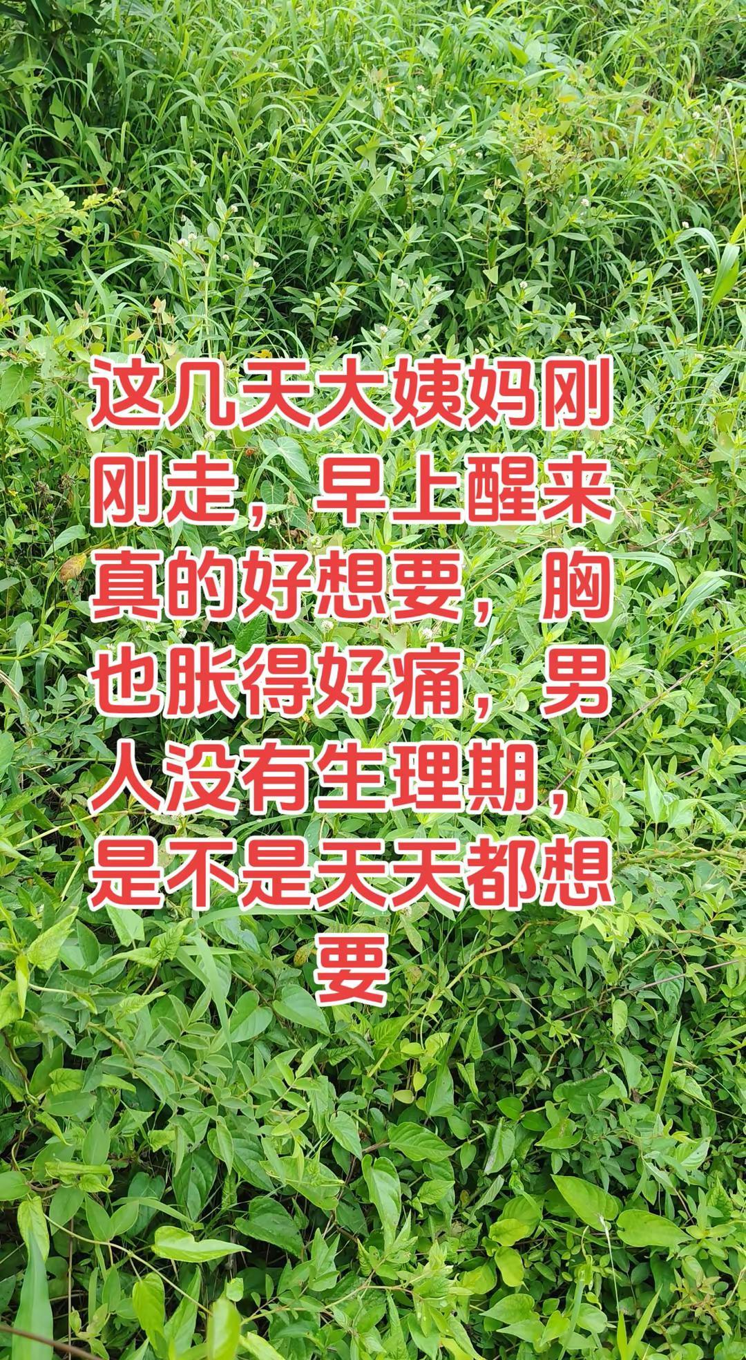 单身女人