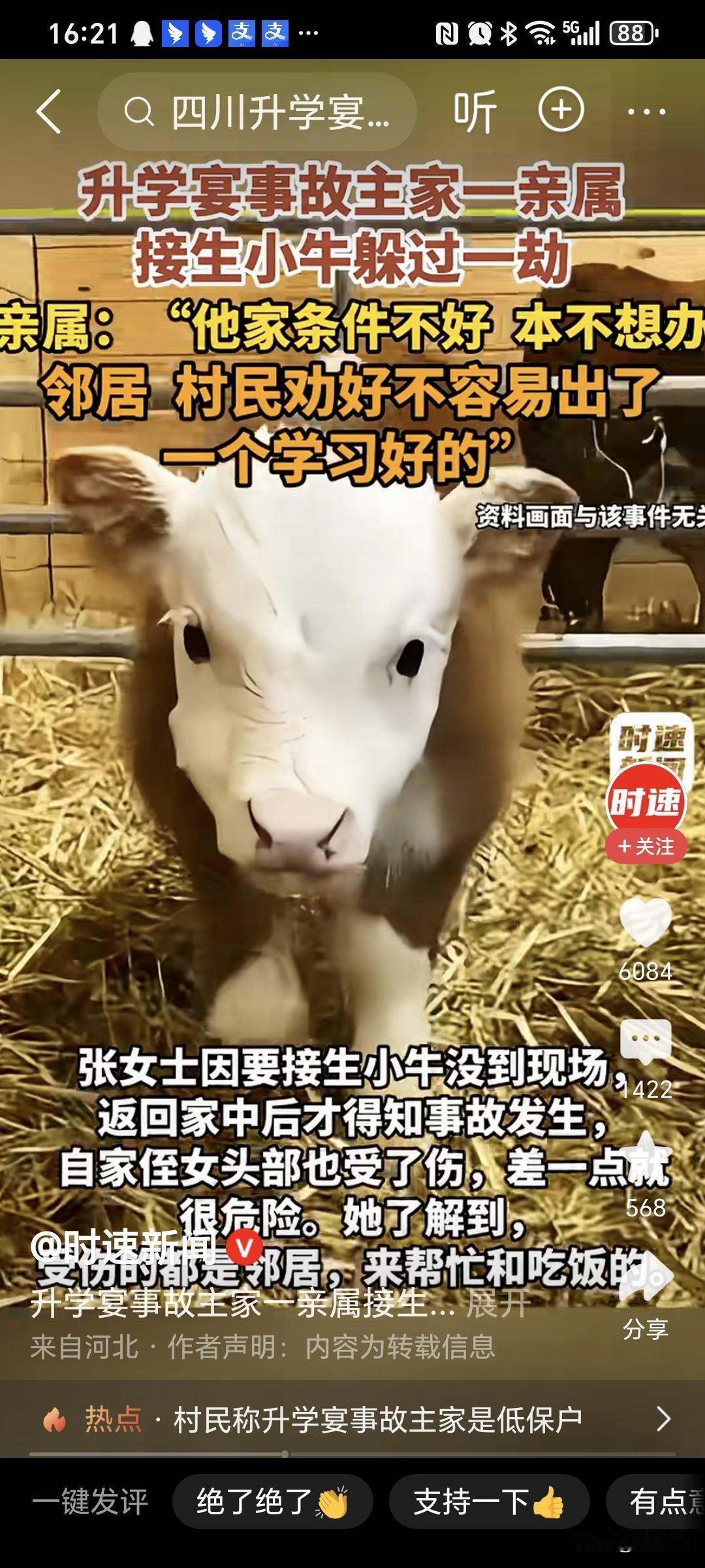 万物都有灵性，有时候灵性过人。四川升学宴一个亲属，当时因为接生小牛，就没有去吃饭