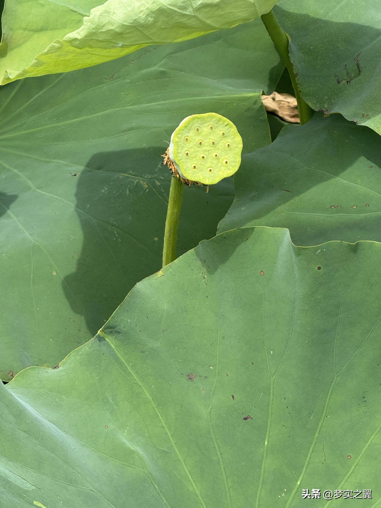 文科被鄙视？不必妄自菲薄文科被鄙视了吗？文、理、农、医、工各专业都是社会的需要，