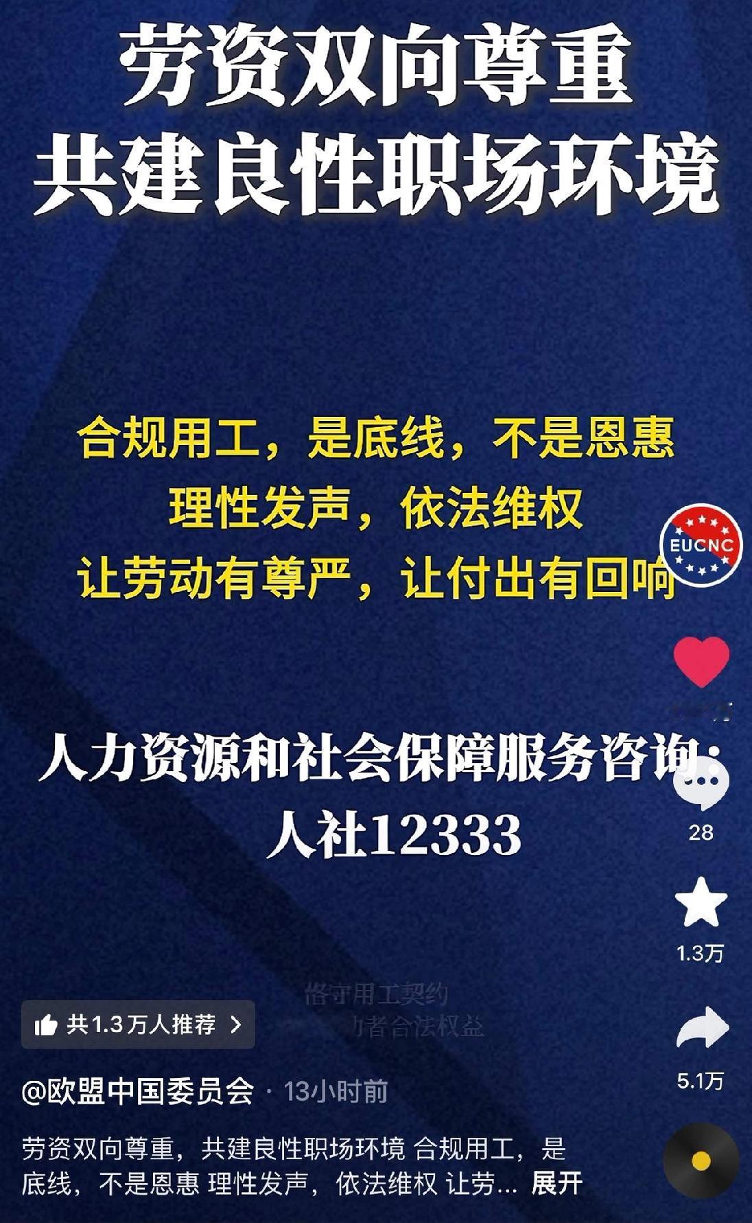 欧盟NGO账号发视频呼吁中资企业依法用工，网友竟留言希望实行12小时两班倒的企业