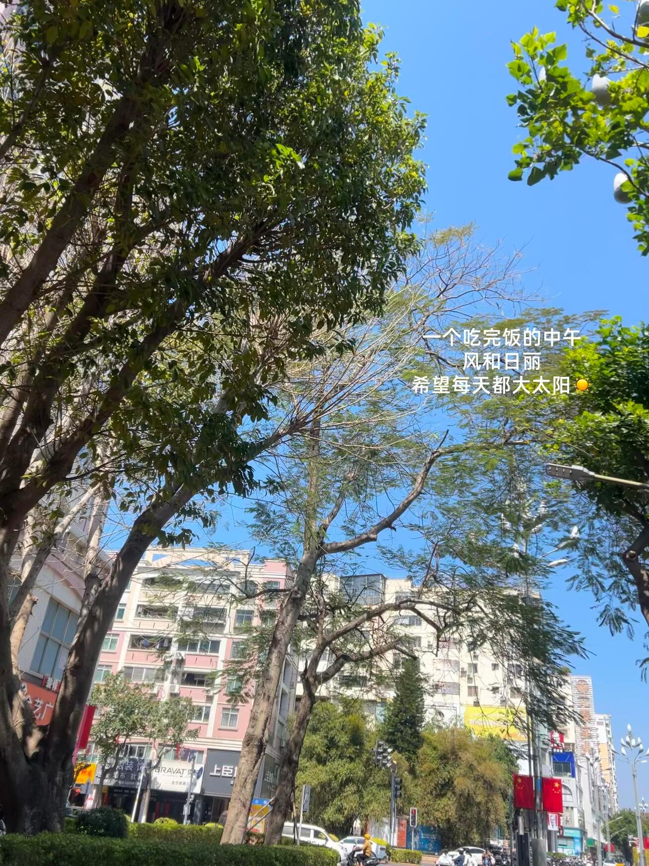 发点生活边角料，是我疲惫生活的解药🥱秋日宅家正当时日常碎片 ​​​