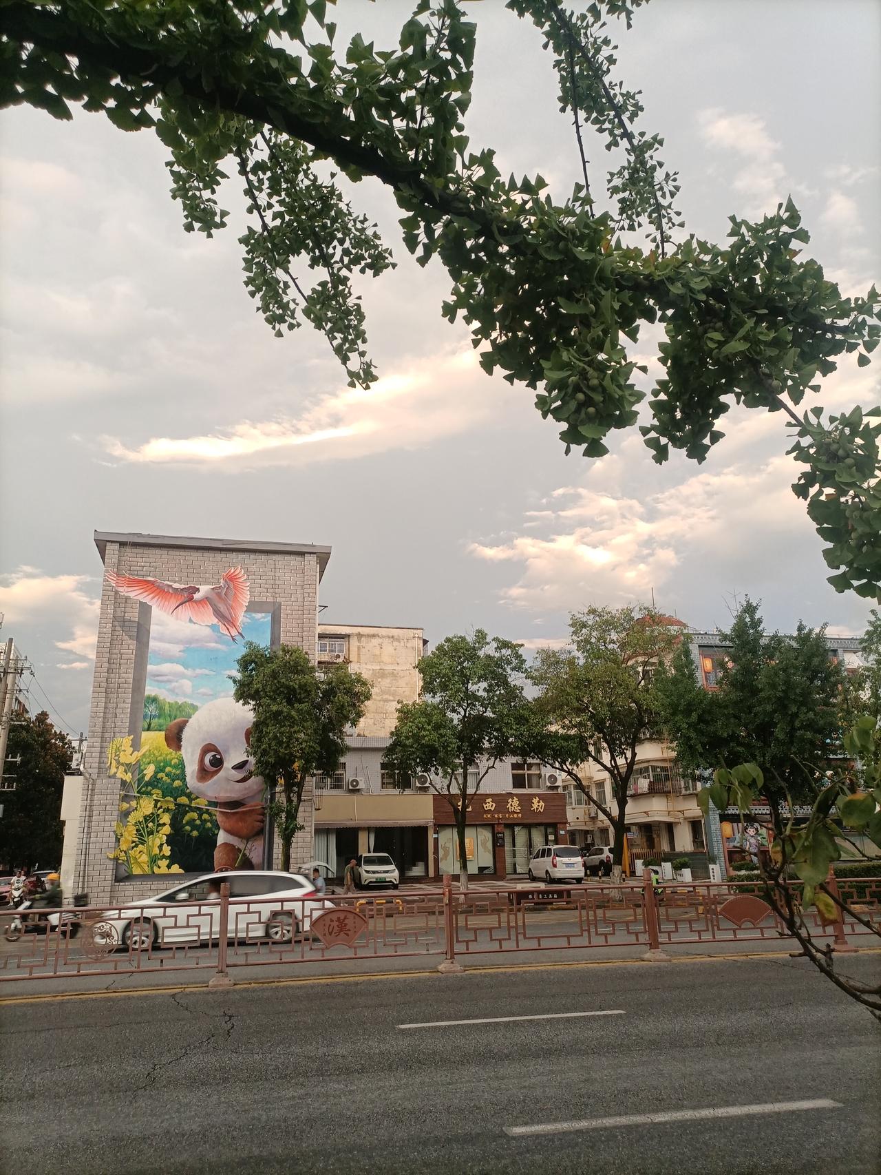 【夏之韵·雨后的城市】记录我的2026
持续的高温中，
城市迎来了一场大雨。
