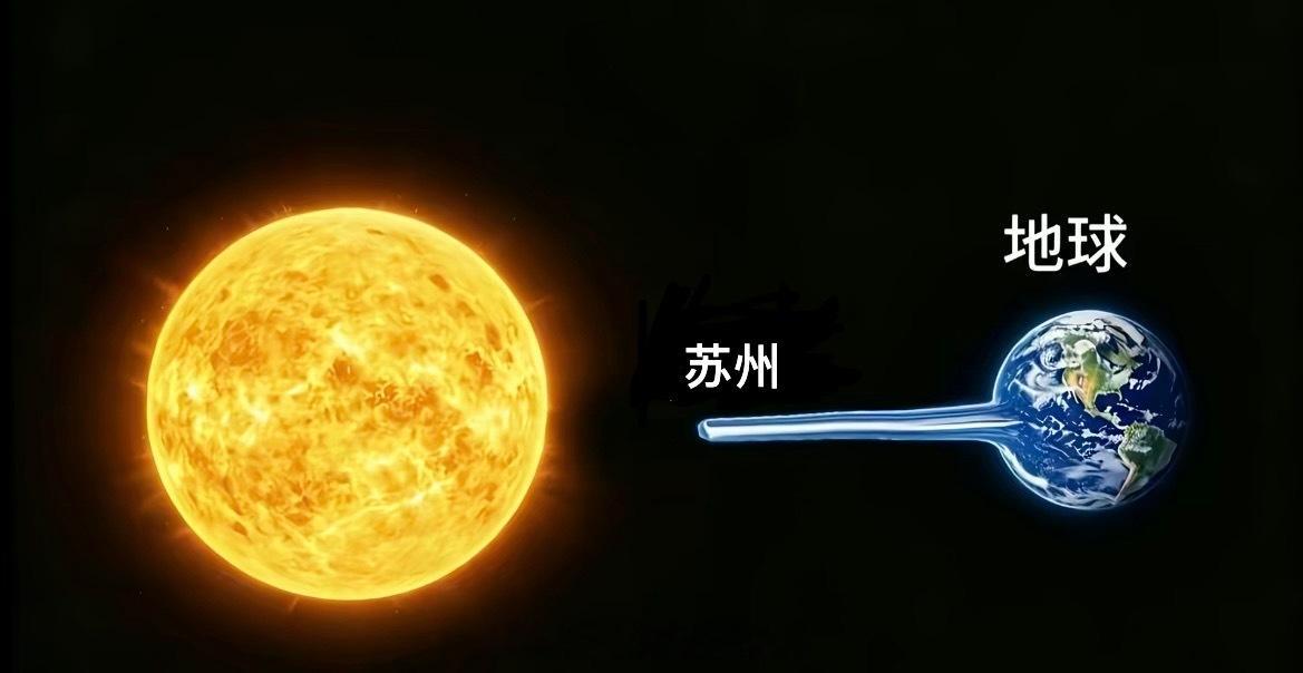 这么热的夏天，流浪小猫应该如何度过啊…… 