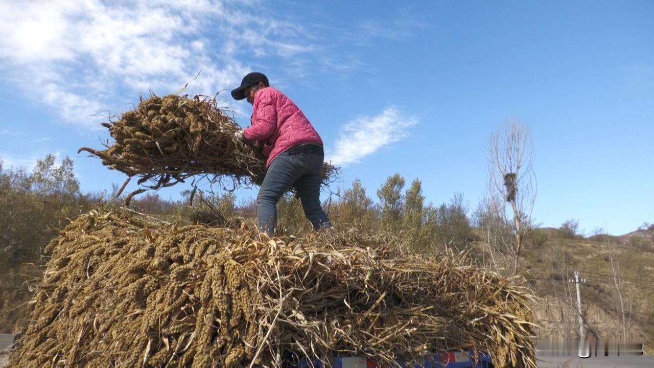 小时候总觉得母亲的背影很小，小到可以躲在她身后，就觉得全世界的风雨都与我无关。后