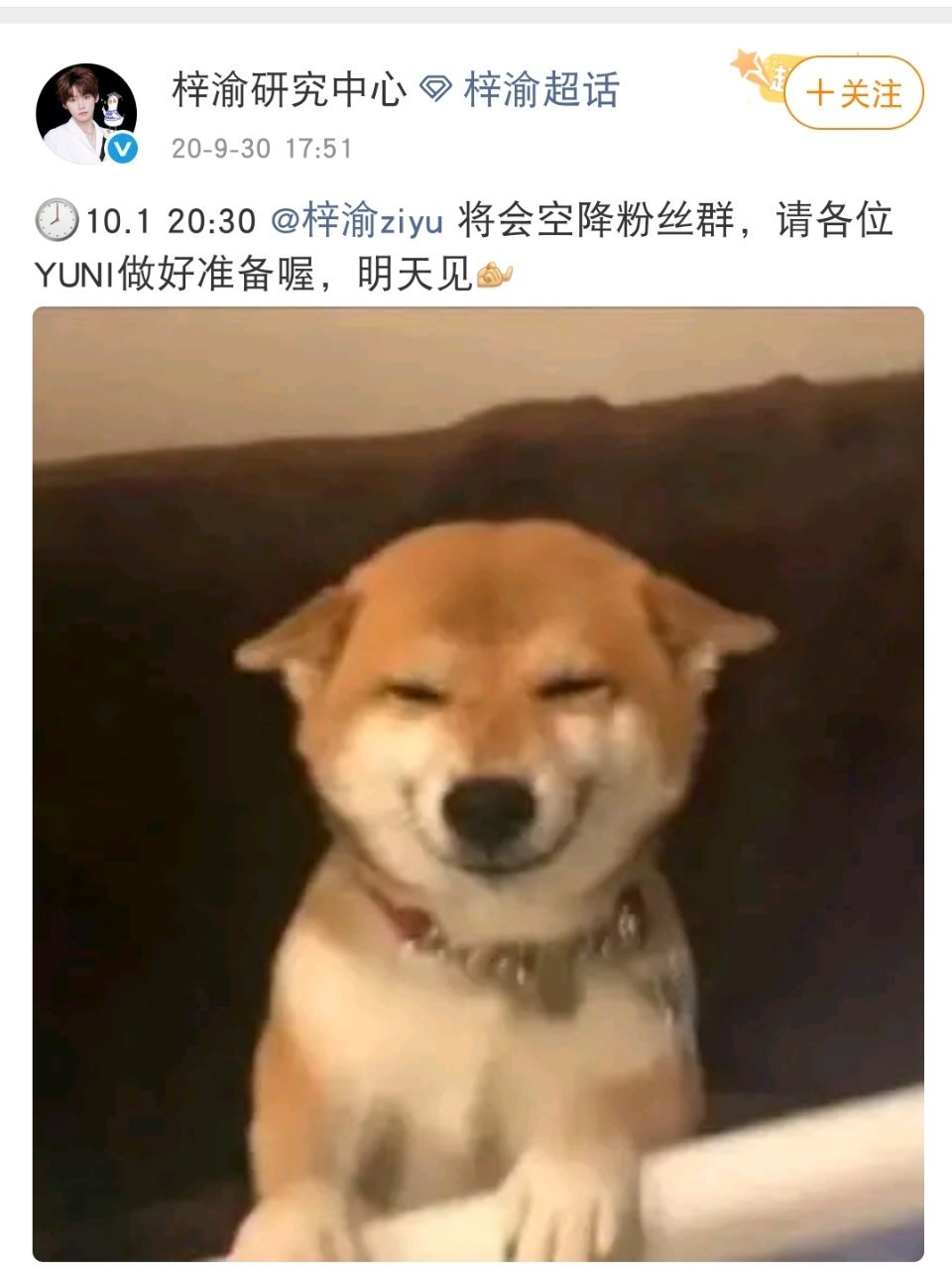 这是不是郑朋自己的表情包 