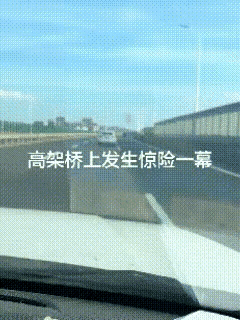 “野生摩托成精了，自己上高架遛弯。”
看动图，这场意外的交通事故很可能成为张雪机