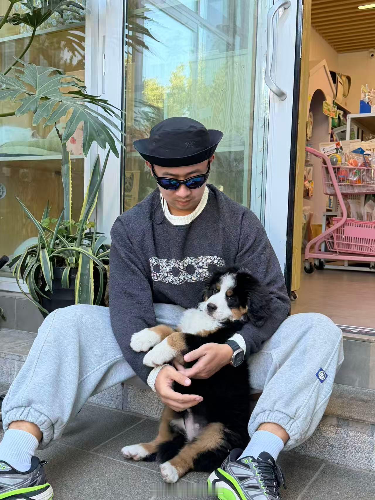 等退休了一定养只狗 澄江