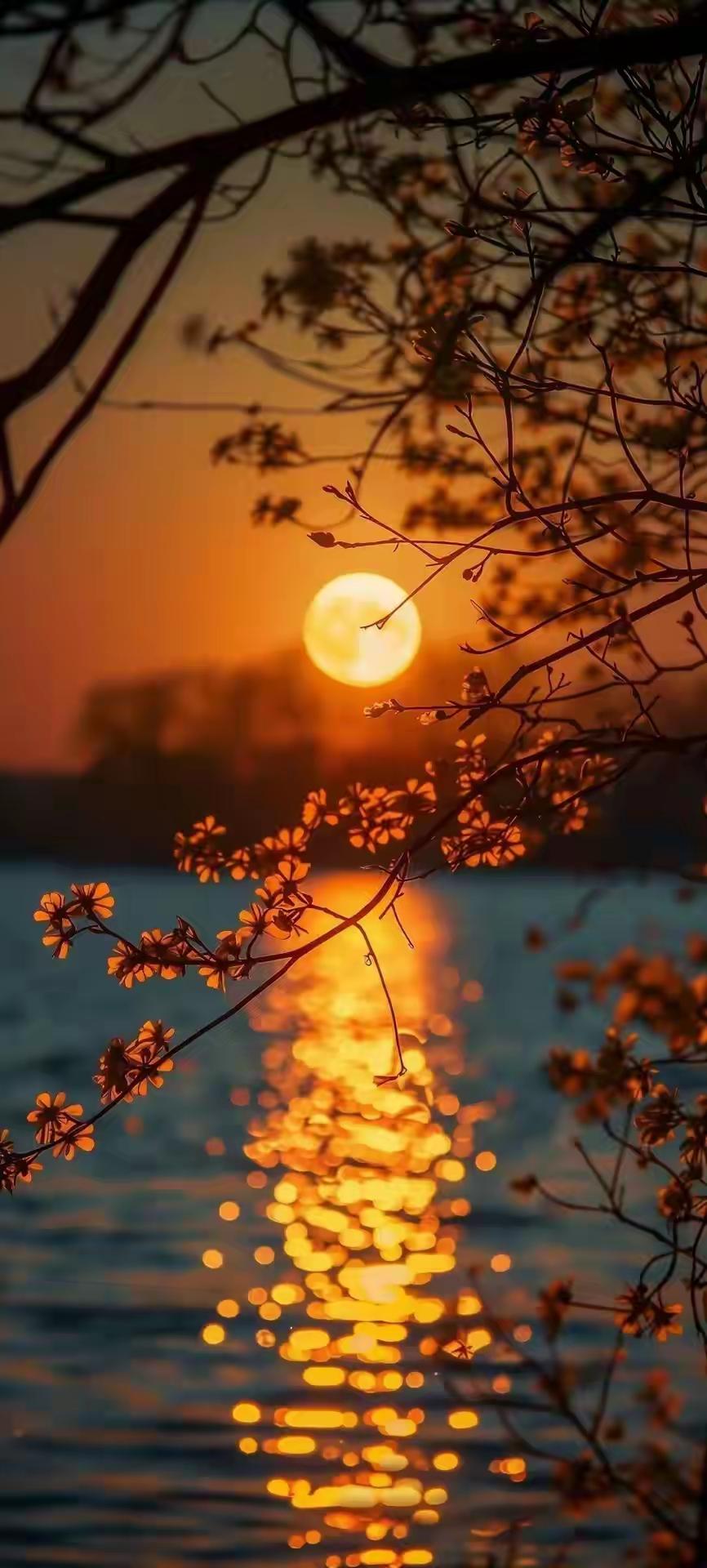 《生命中的暖意》

总在黄昏
与夕阳依依不舍地道别
水面的夕晖
加重雄浑悲壮的情