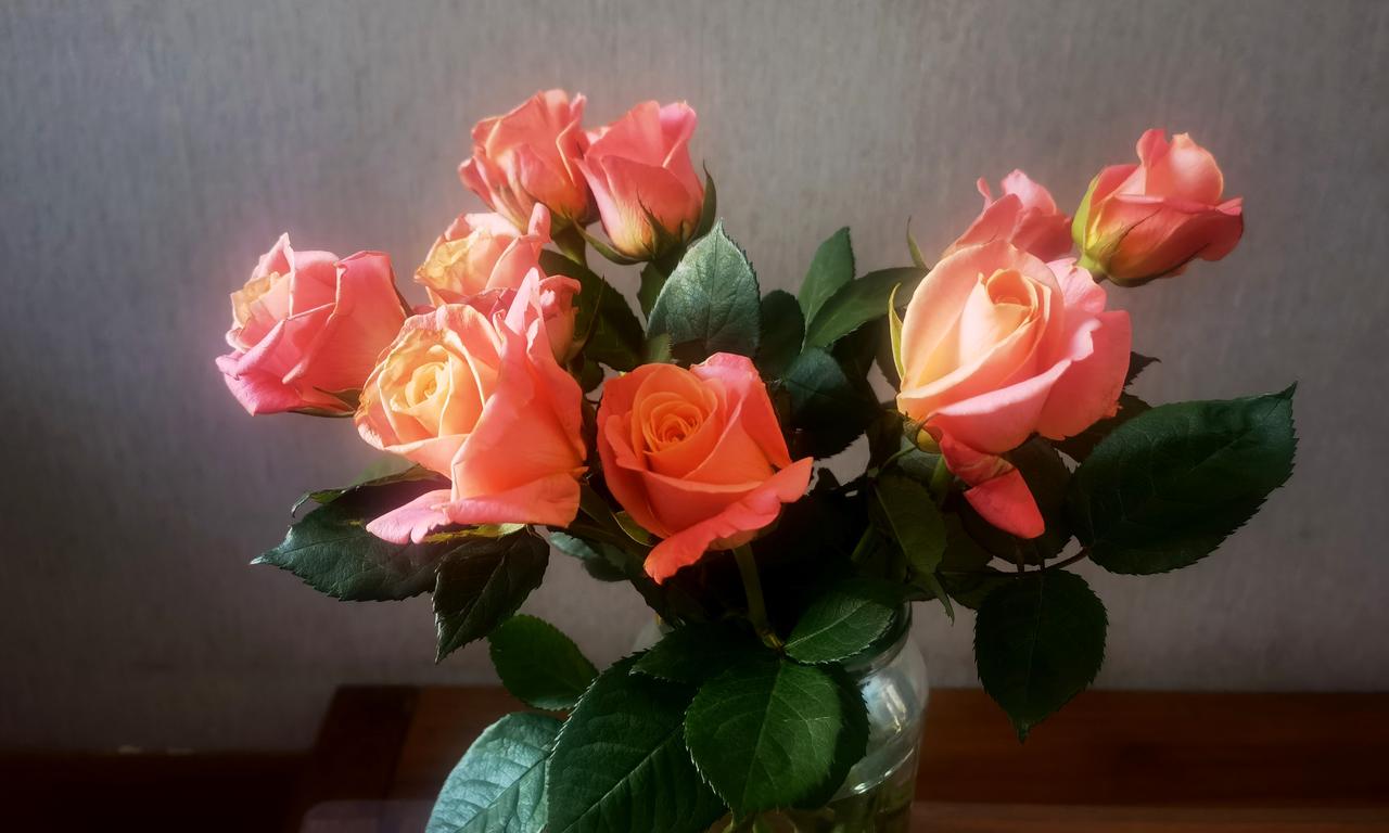 【热评】尴尬源于程序与生活的脱节
新娘换完敬酒服出来发现宾客全走了

《新娘换完