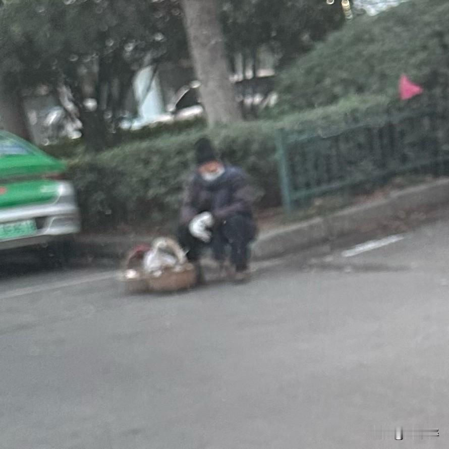 刚刚，目睹此景，我的心里一阵揪痛。
路边，一位约莫八九十岁的老人正叫卖着鸡蛋。