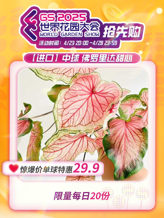 世界花园大会抢先购|单品推荐二