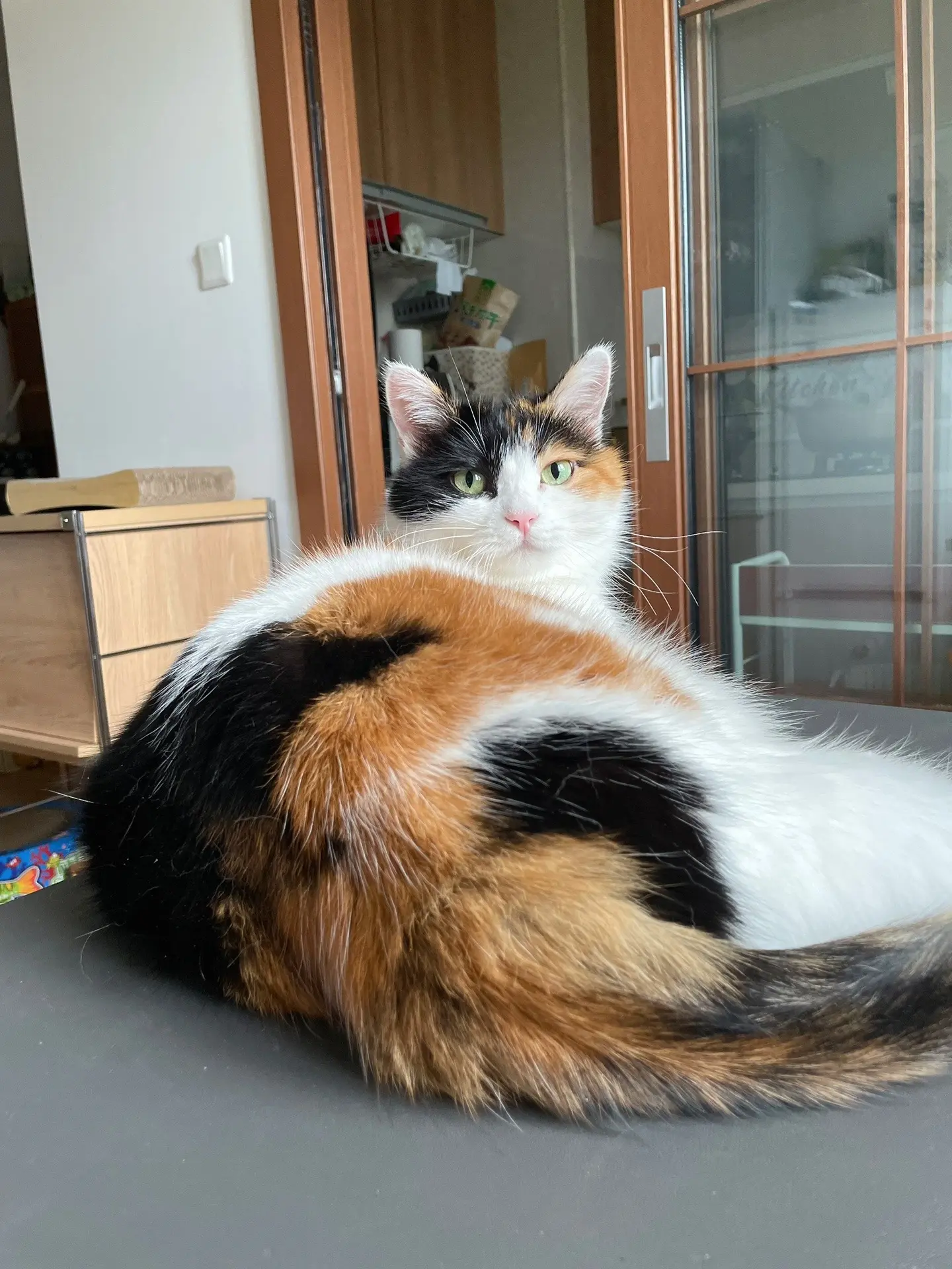 9岁大小姐7年没洗澡。她是臭脾气有洁癖的大小姐！