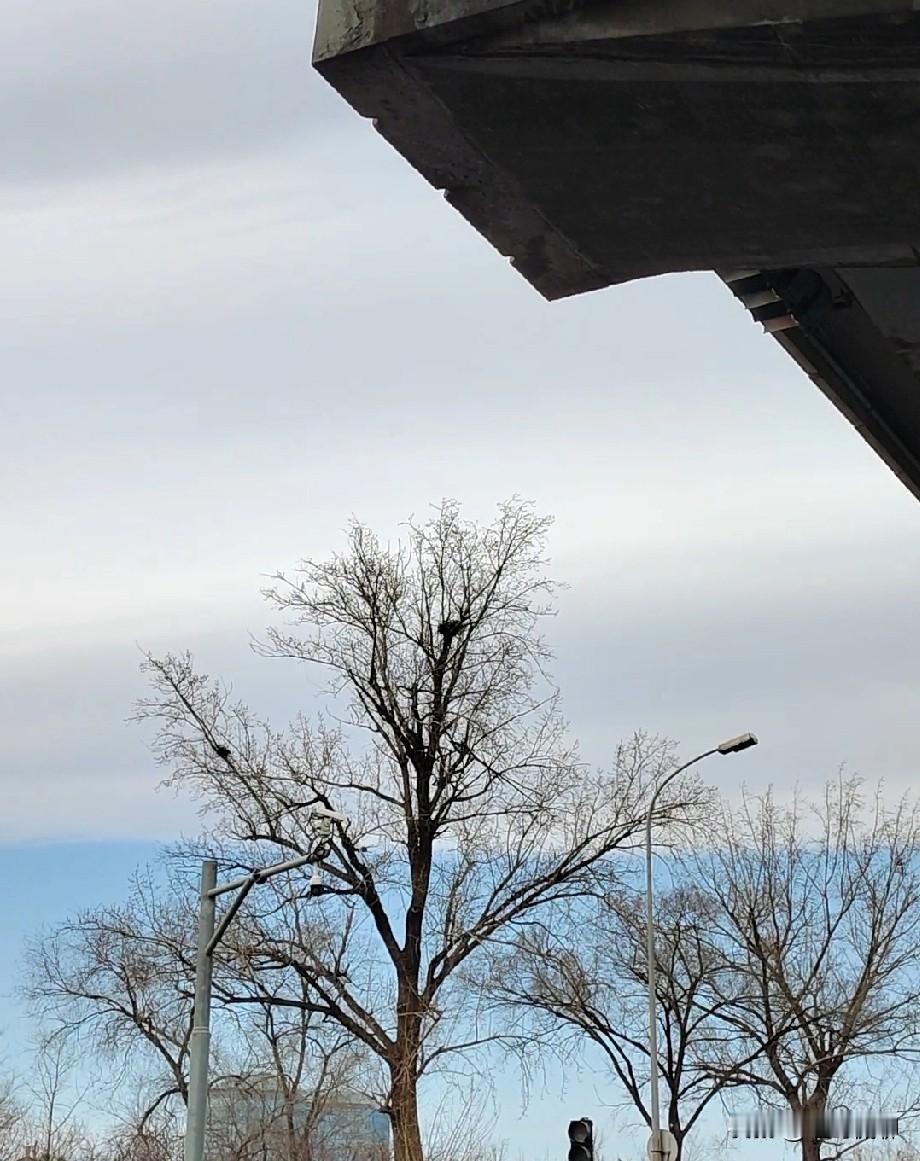 现在学校减负没错，教育改革没错，但无论怎样一定不要忘了，还是有一批孩子喜欢读书，