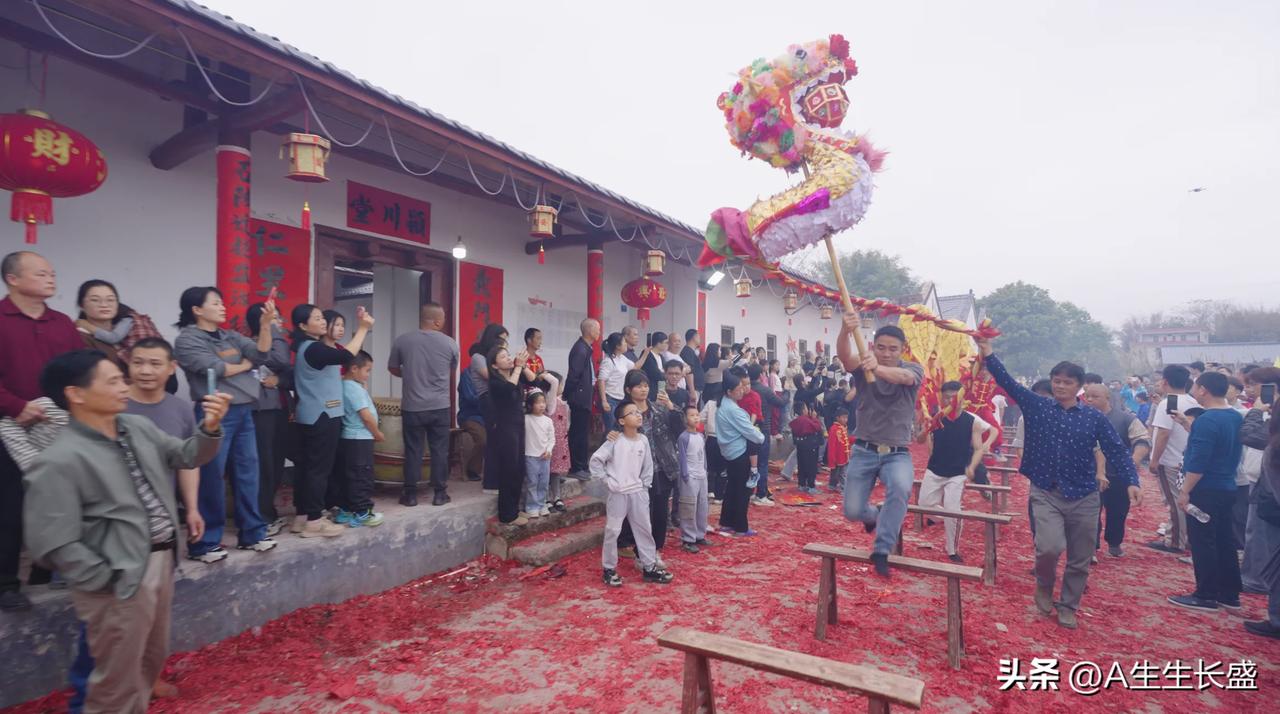 集卡领红包赏灯十分热闹而隆重，大家都挺舍得，不仅鞭炮打了厚厚一地，还请来高水平的