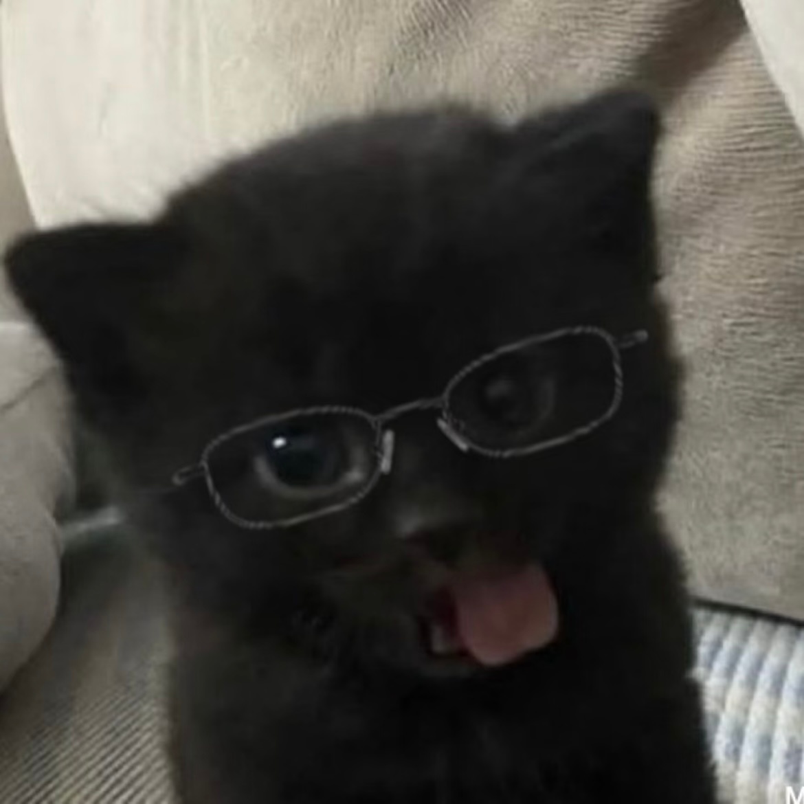tws唯一c位ace金道勋 🐈⬛金道勋 因为是小猫，所以闯祸了也没关系，捣乱也