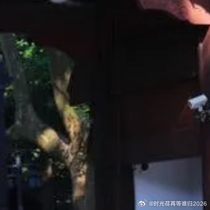 每日一善 每日一善 阳光信用 允许一切发生，接纳所有遗憾，人生本就是得失相伴。 