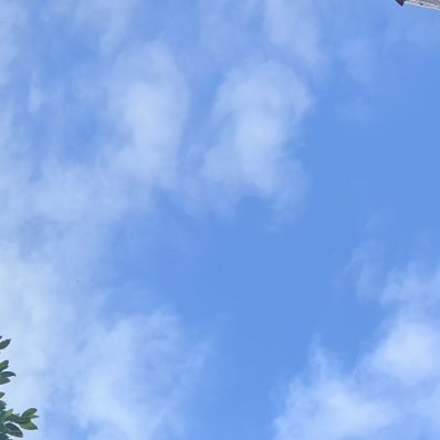 每日一善 你不需要一直坚强，脆弱也是你真实的一部分，而我爱的正是这个完整的你。 