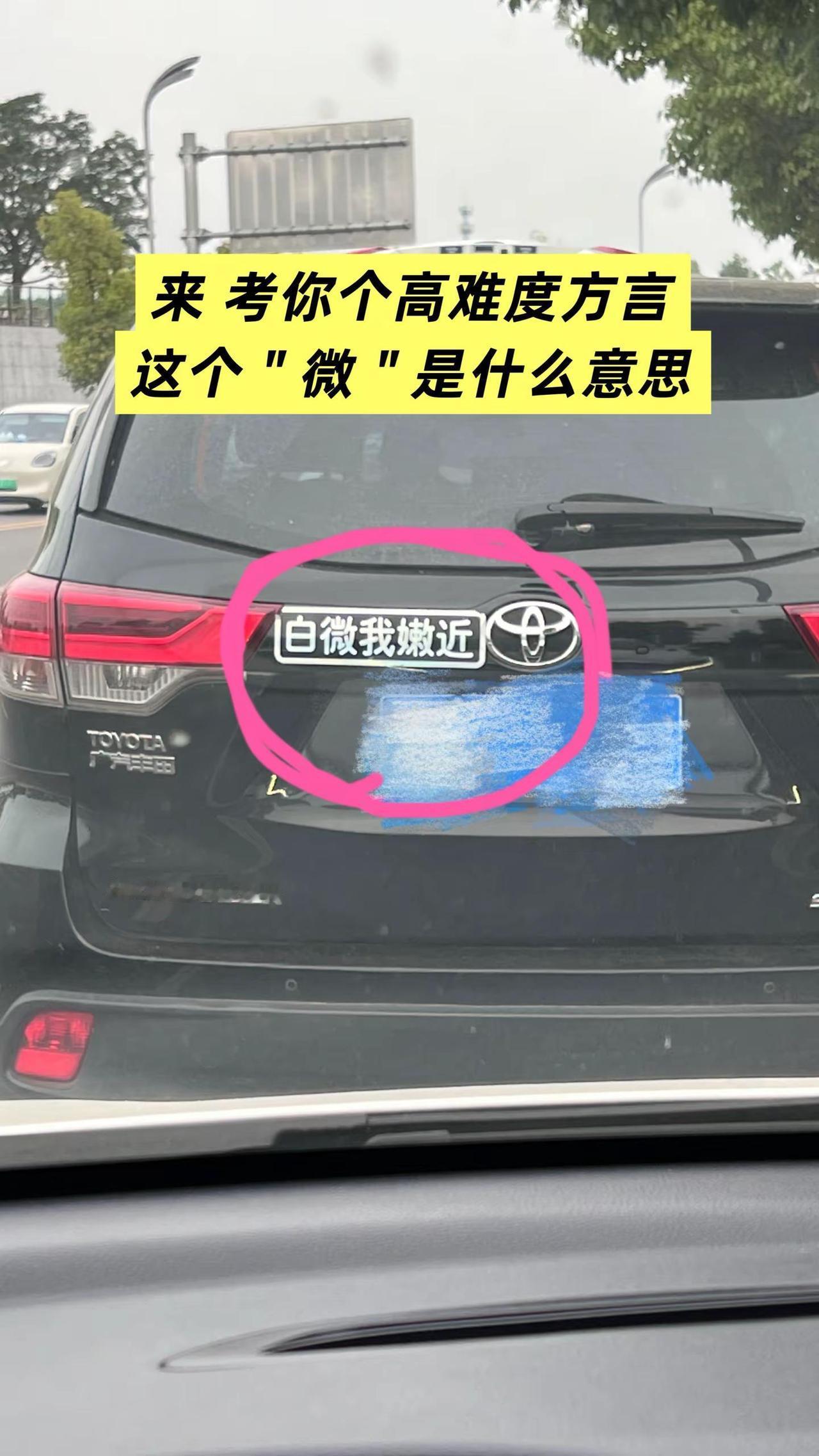 这个方言估计很多人看不懂，＂微＂字更不懂