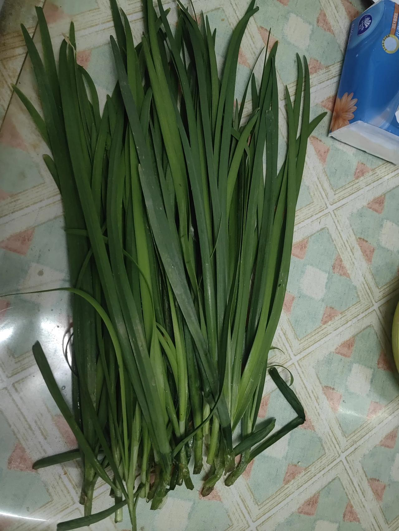 五一假期过完了，钱花了开了心了，该回归正常的生活了。
从老家回来的时候，带回来四