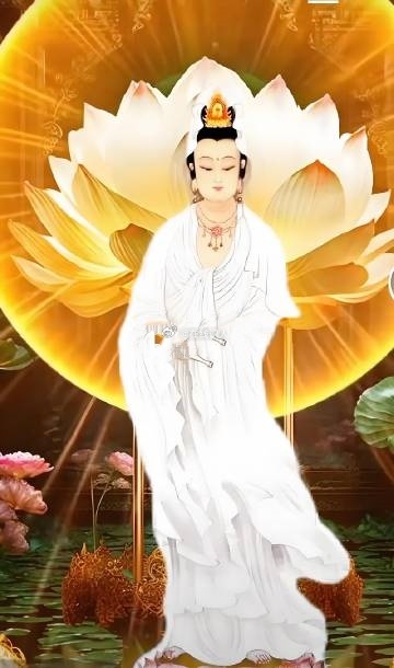 斩断烦恼，破除无明，降下吉祥！🙏 