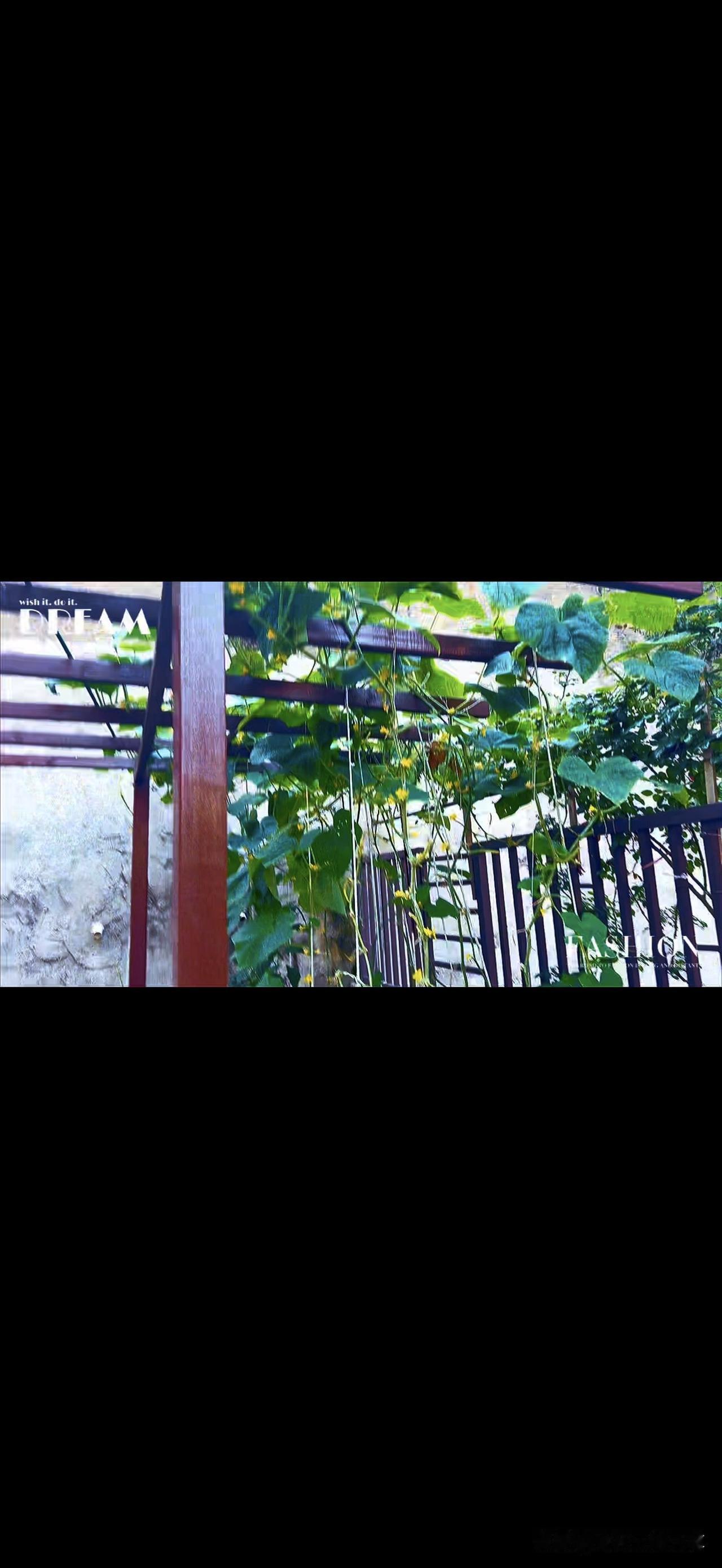 记录今日心情昨天是立秋节气，从立秋的那一刻起就开始了秋天的到来了，虽然夏天的余热