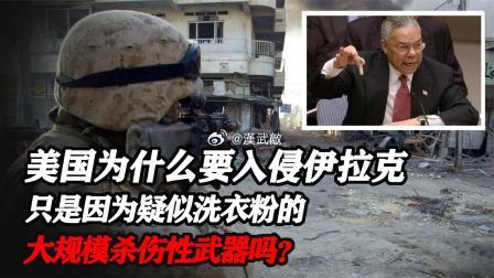 人类最大的恐怖袭击就是美国以一小瓶洗衣粉为借口，屠杀数十万伊拉克人。最令人发指的