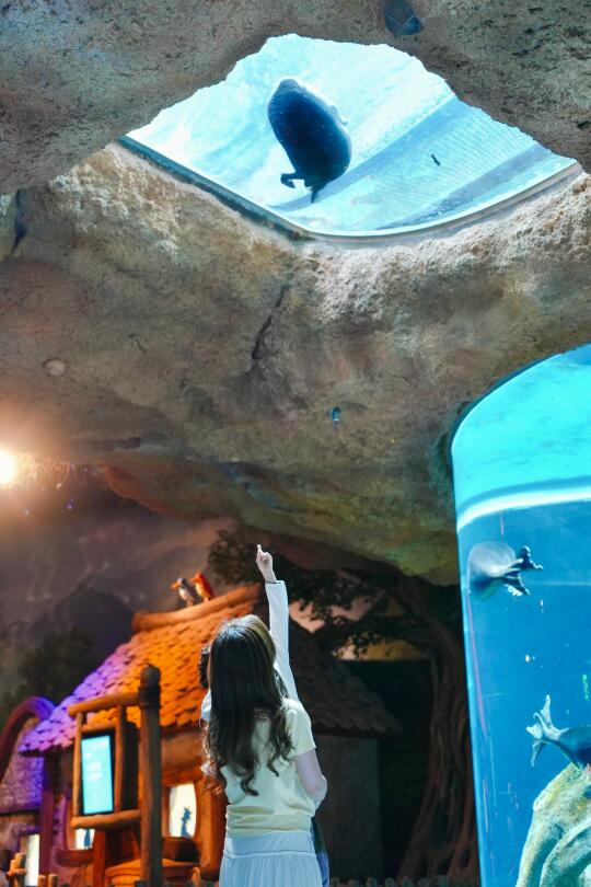 深蓝计划咔嚓📷