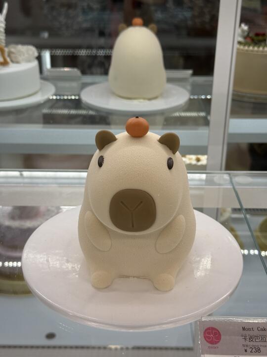 哦莫哦莫。。。这是可以吃的嘛。。。🥹🥹🥹