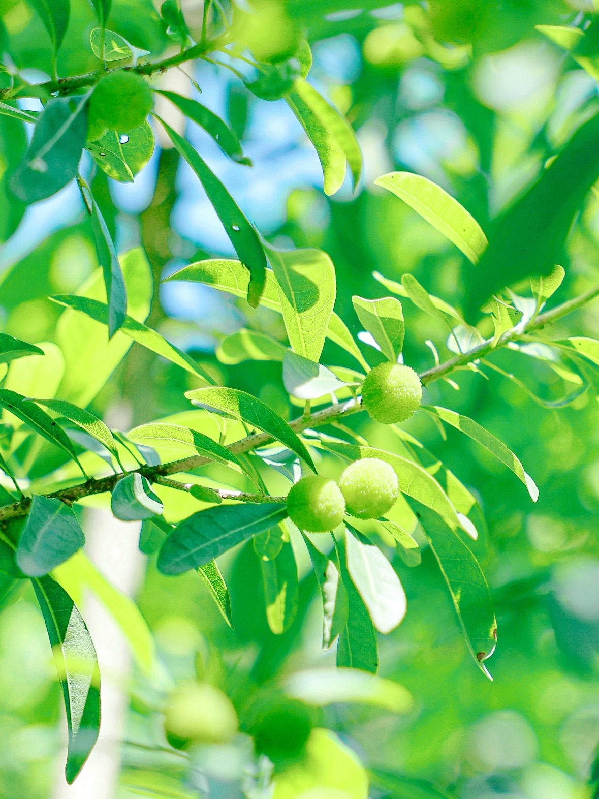 每日一善🌱阳光信用 🌱每日一善☀️极好784， 欢迎一起互动生命的常态是无常