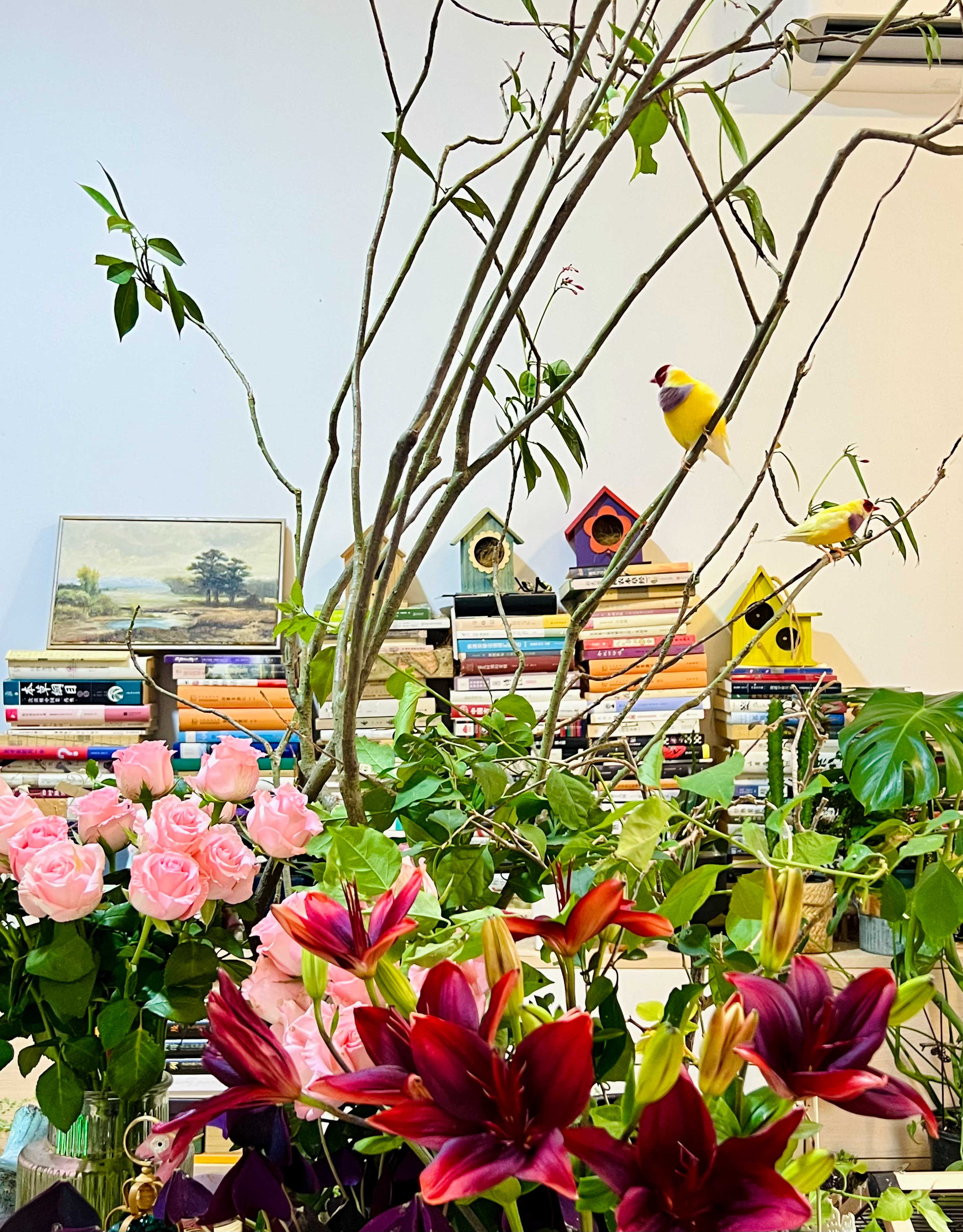 猫宁 🌻🦜🌹 