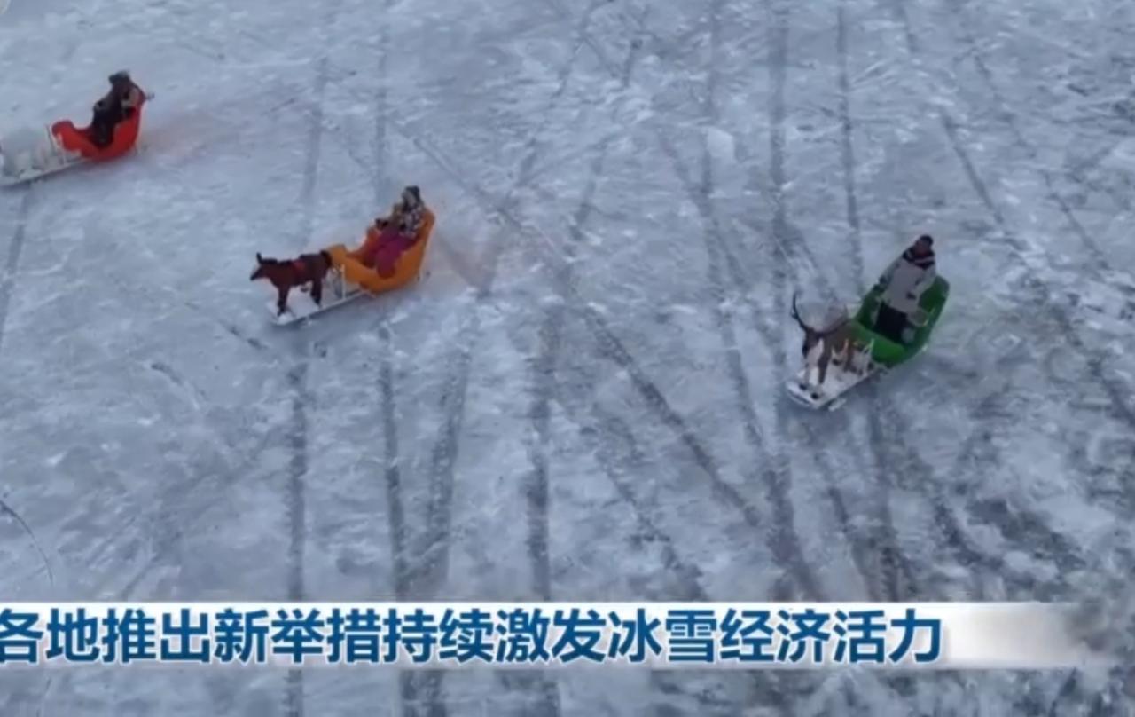 冬日经济焕新活力
 
各地解锁冰雪新玩法，冰面上彩色雪橇飞驰，市集里人群熙攘，市
