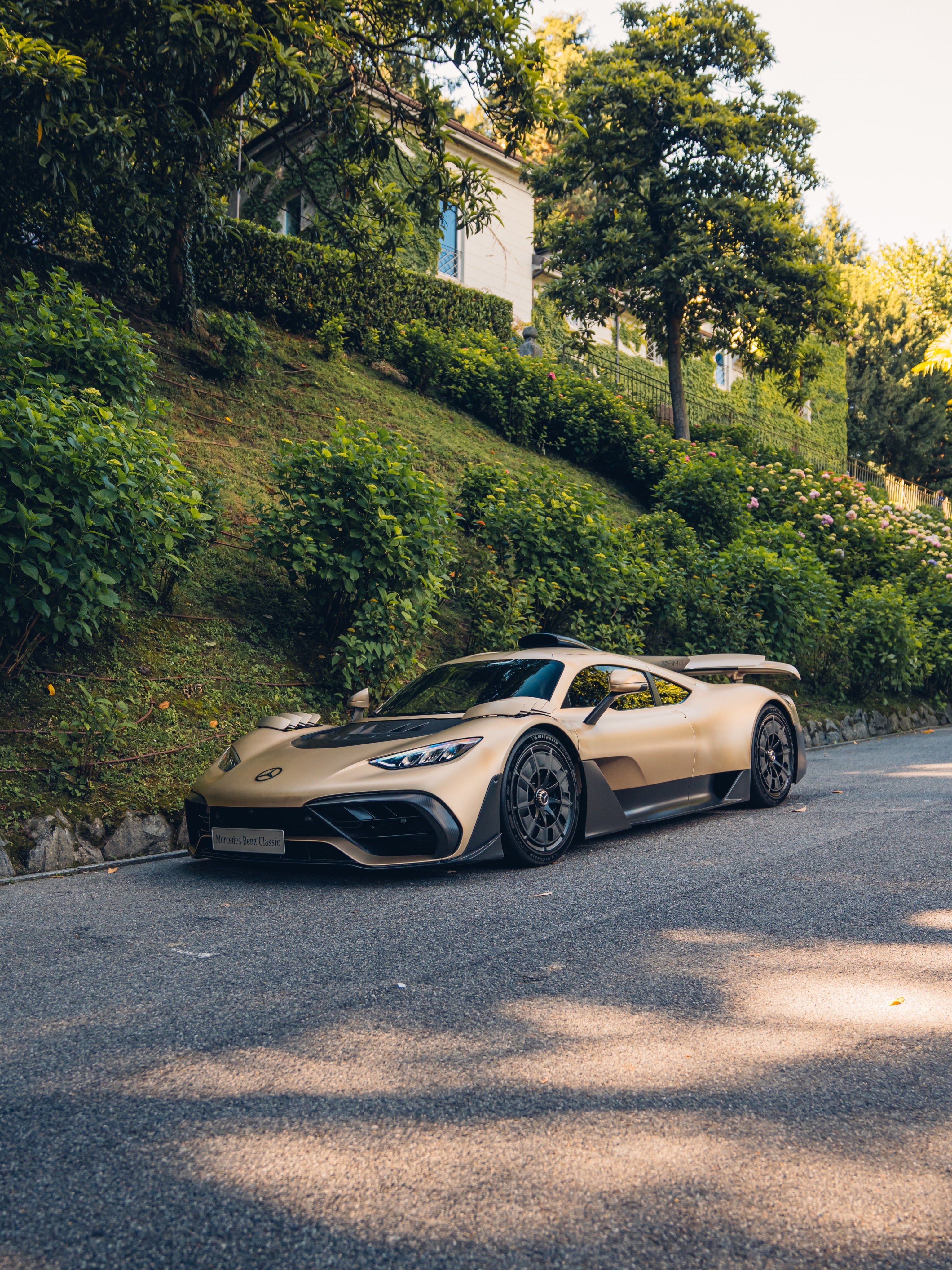 sscs图集灵感与启发 PIC：Alex Penfold Photography