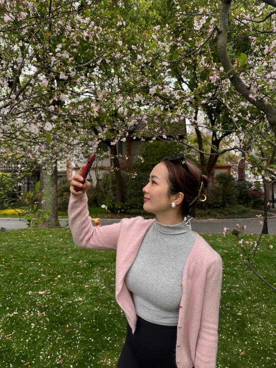 今天是粉樱的一天🌸