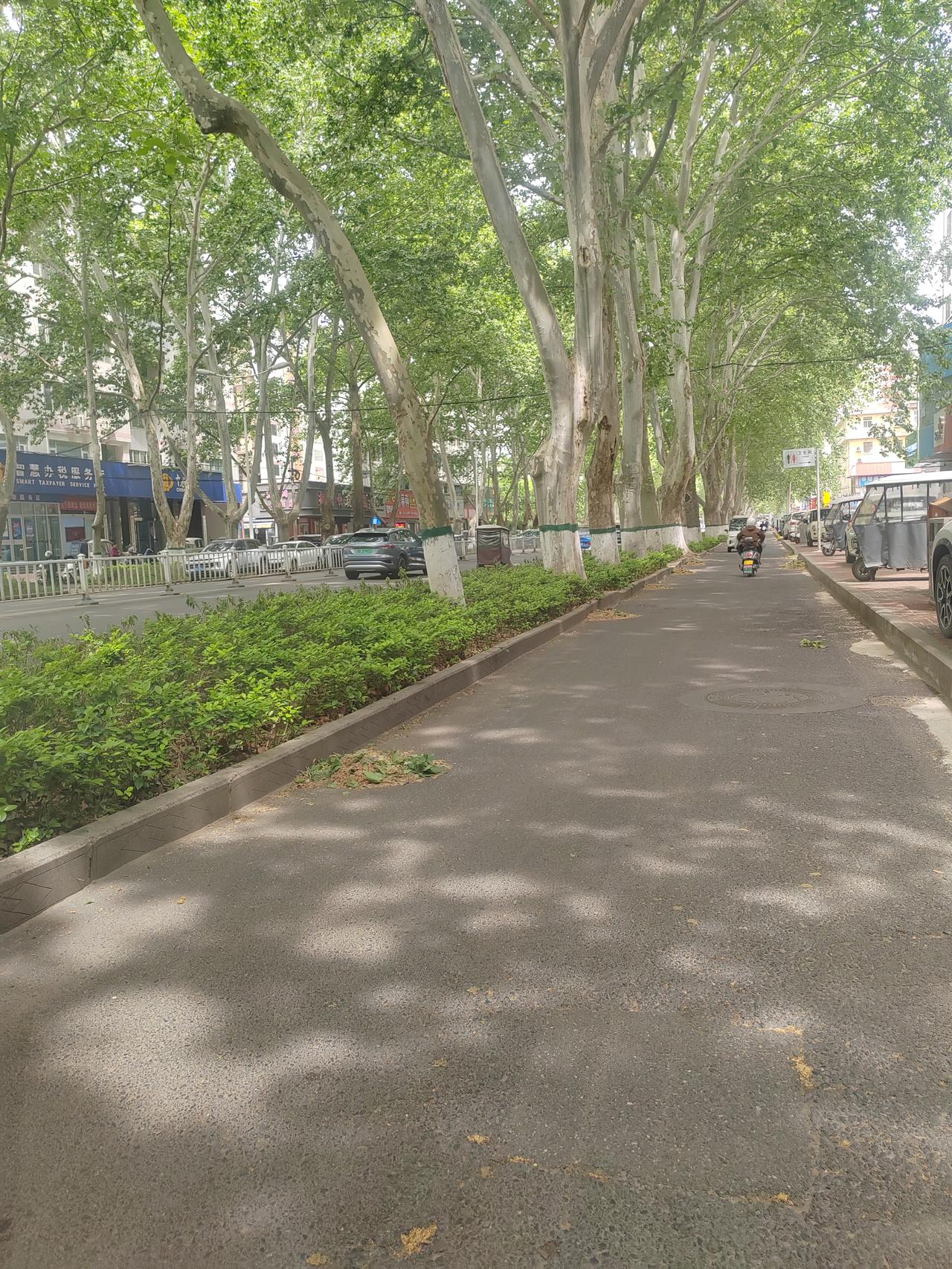 上午11点左右，从中兴路经过，非机动车道上被扫到一块的垃圾，还是这么静静地堆在路