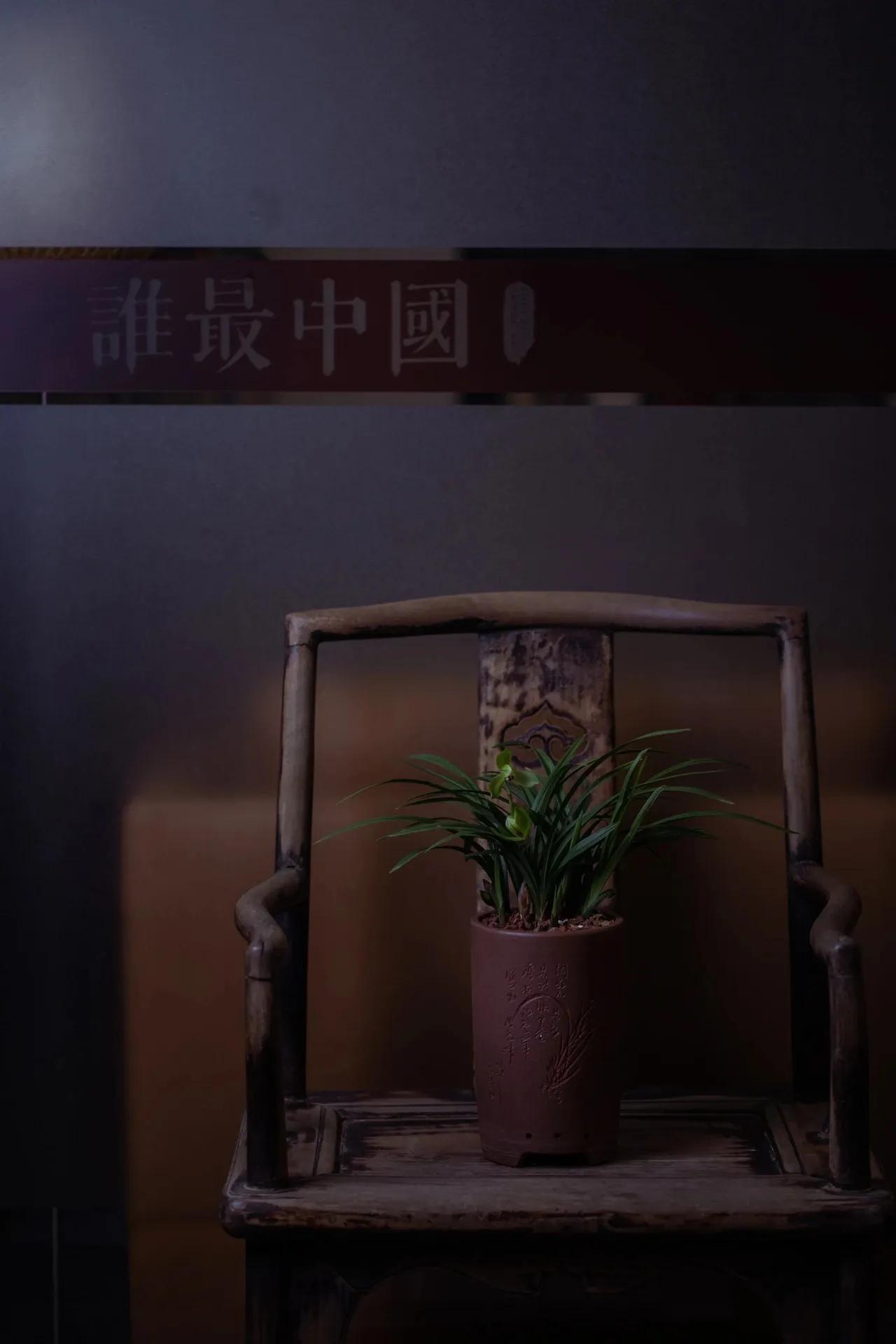 满天浮动古馨香～🌺