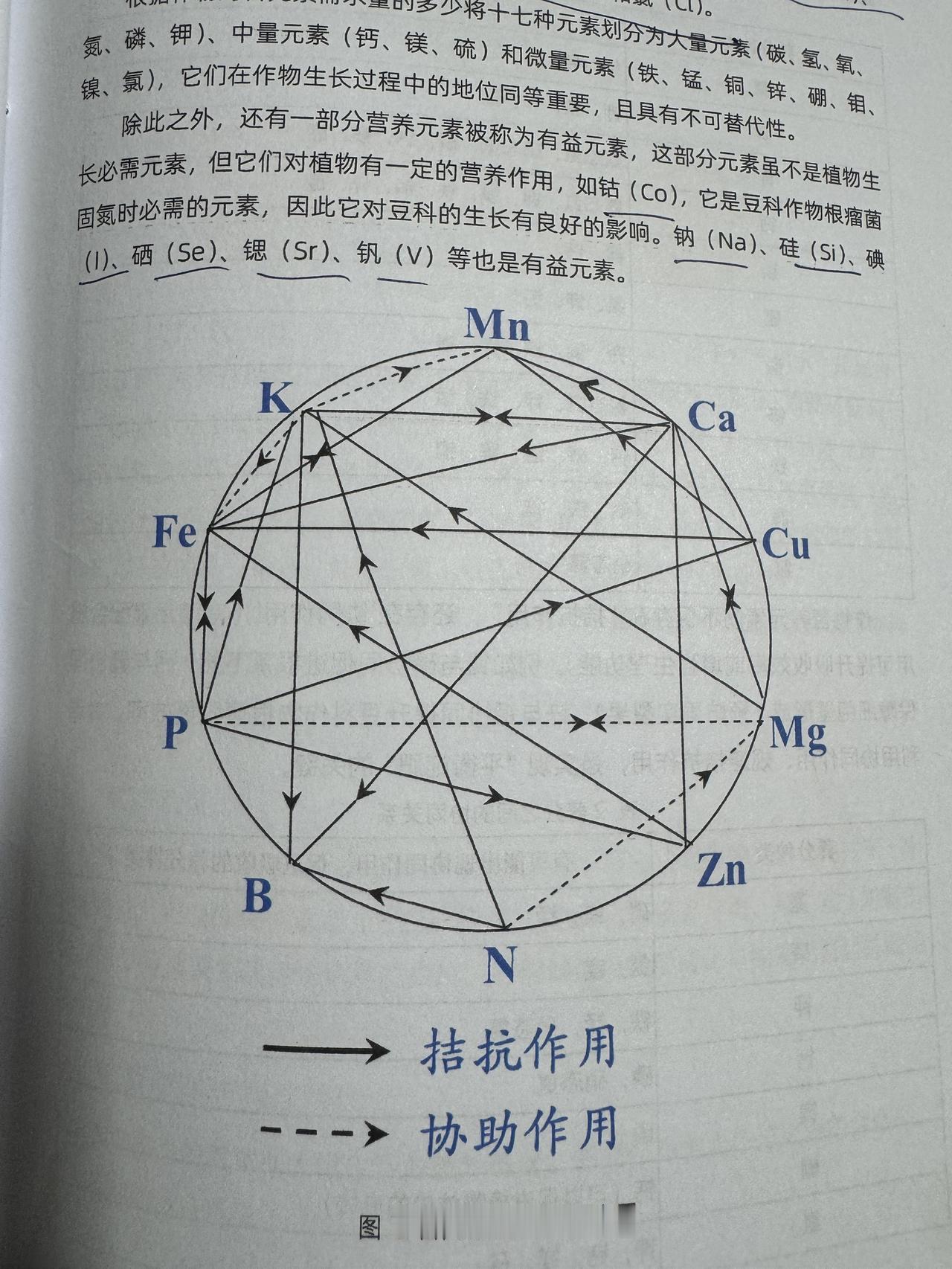 作物所需各元素之间的相生相克！知识分享手写 手写知识分享 手写笔记 书摘学习
