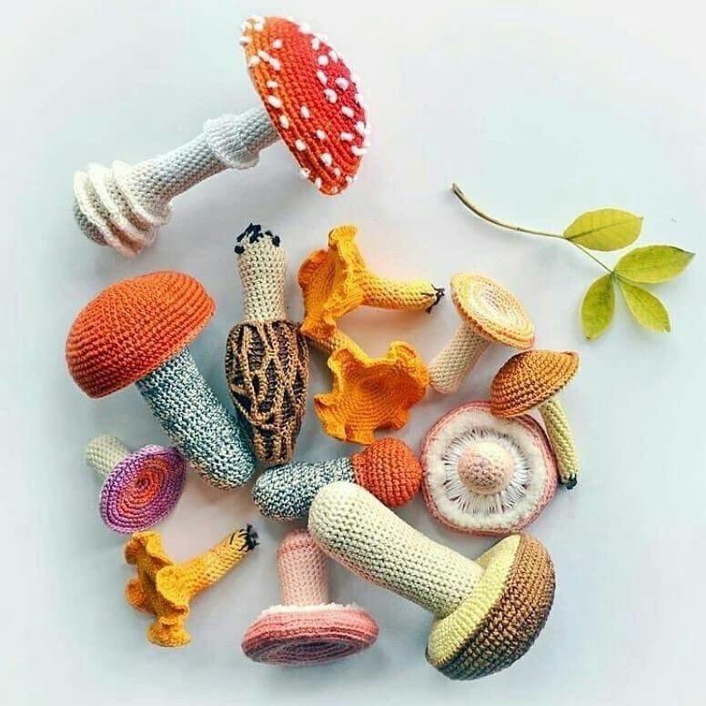 整个十一我都想在家种蘑菇