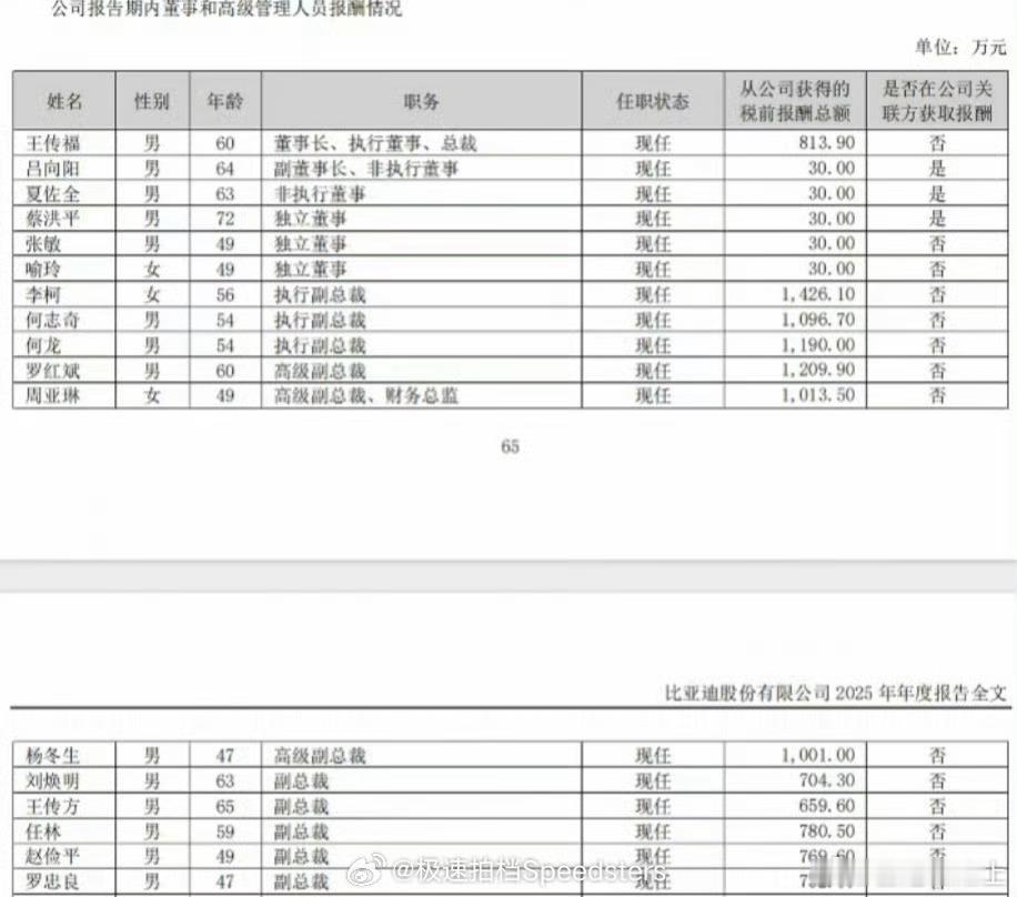 比亚迪汽车高级副总裁兼财务总监周亚琳税前年薪 10,135,000 元比亚迪财务