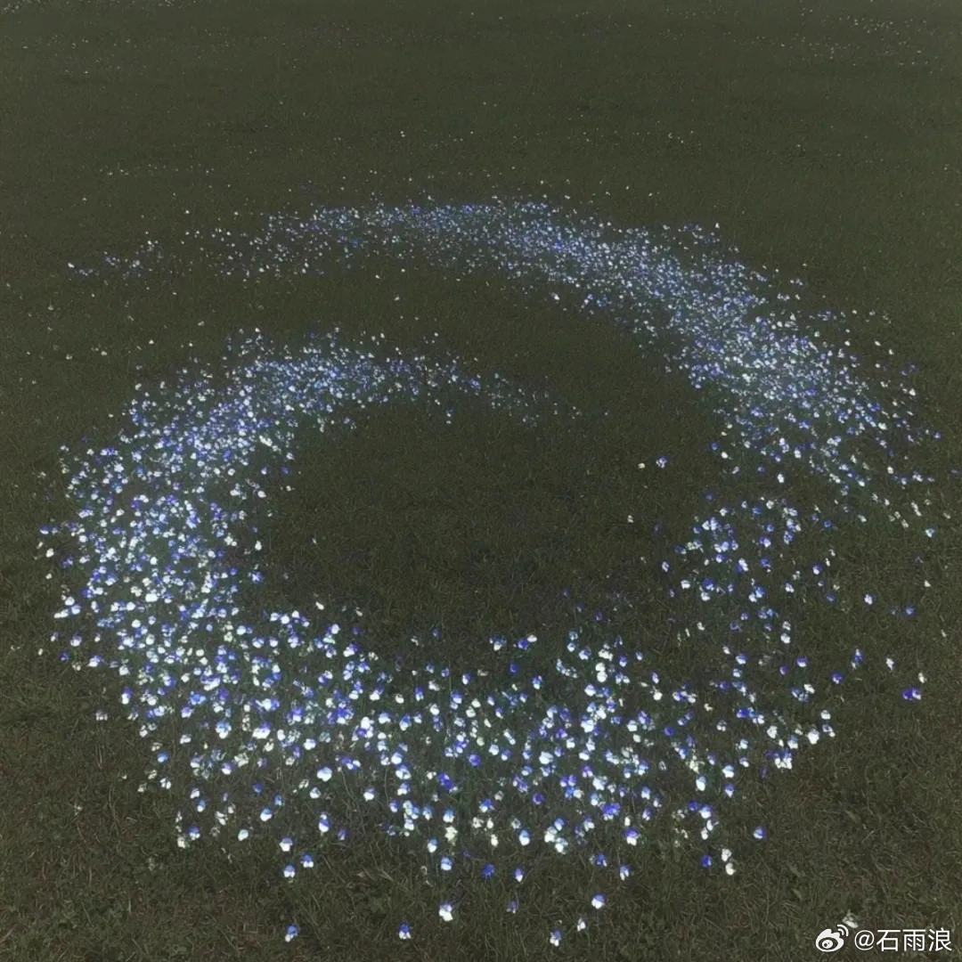  “我坦然接受了所有的事与愿违，只是会在深夜默默叹气。”我到底有多少东西心灵鸡汤