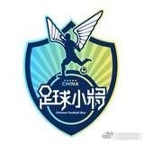 【中国足球小将】直播预约：决赛直播🏆-06月02日 17:30点击预约按钮，不