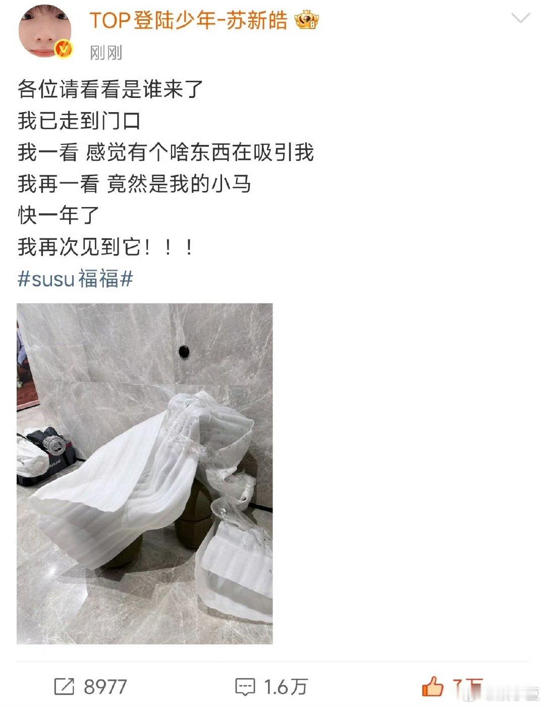 苏新皓感觉有个啥东西在吸引我 披哥把小马给了苏新皓 苏新皓：感觉有个啥东西在吸引
