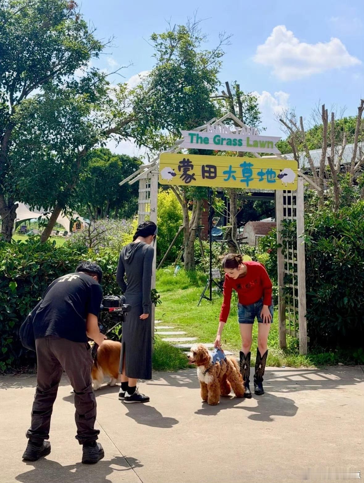 欧阳娜娜送粉丝上海节目录制观众名额欧阳娜娜送粉丝上海节目录制观众名额！这个娜比真