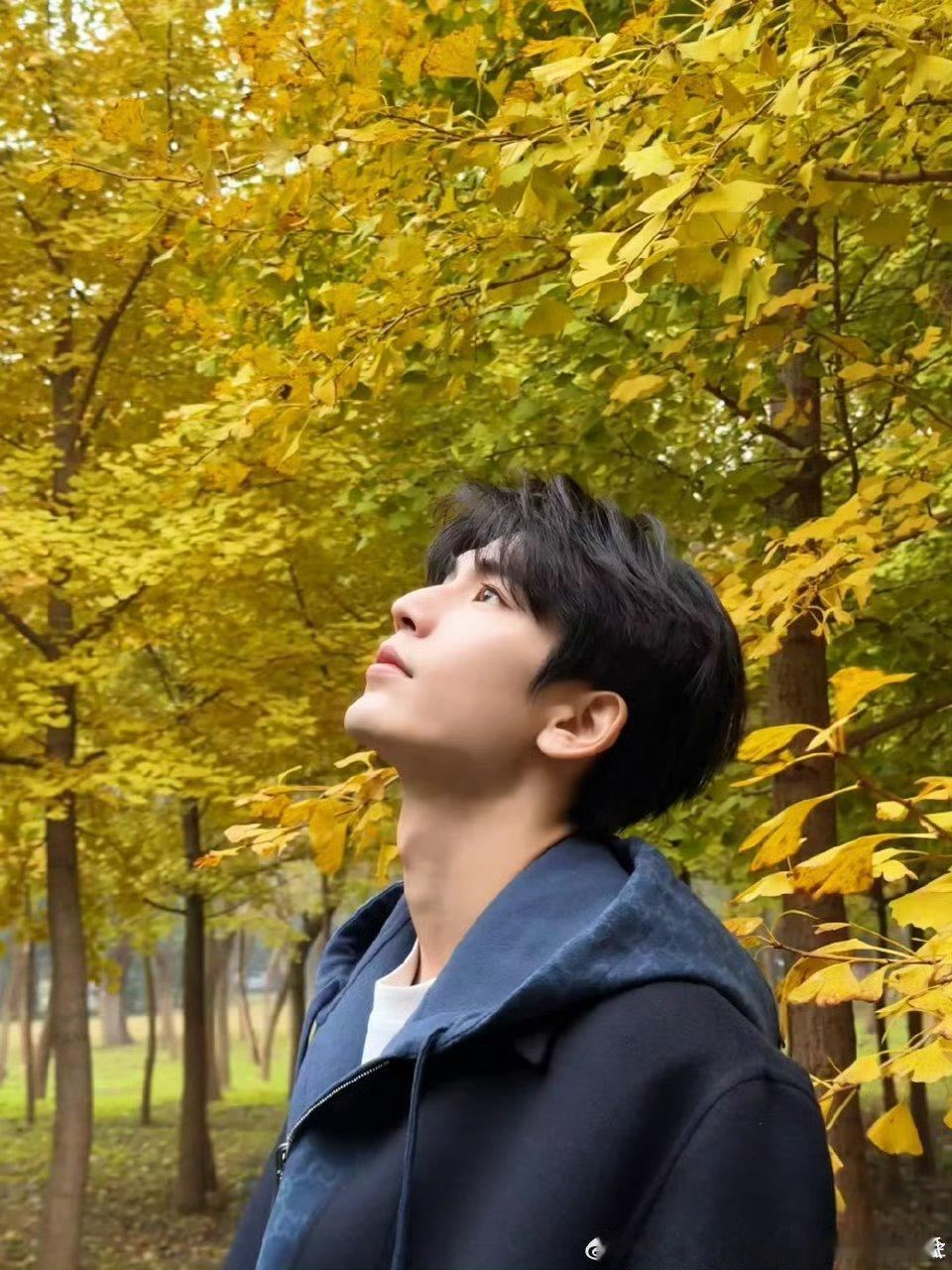 张凌赫尖叫之夜采访没人能逃过张凌赫尖叫之夜的幽 默暴 击！跨人跟黄景瑜热聊笑到弯