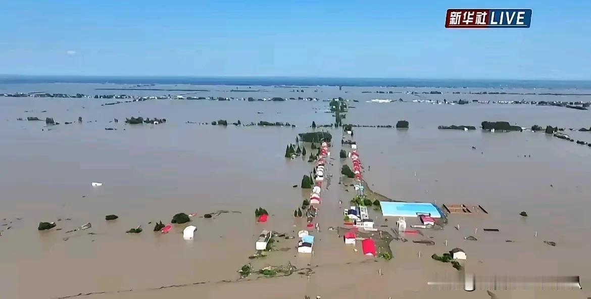 这下损失大了，得有多少人倾家荡产啊！

看到新闻播出的画面，都觉得吓人，咱们老百