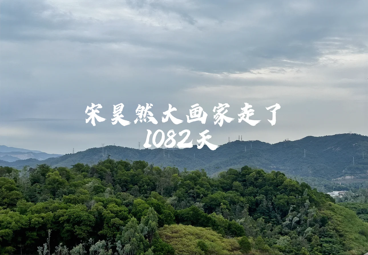 宋昊然大画家走了1082天