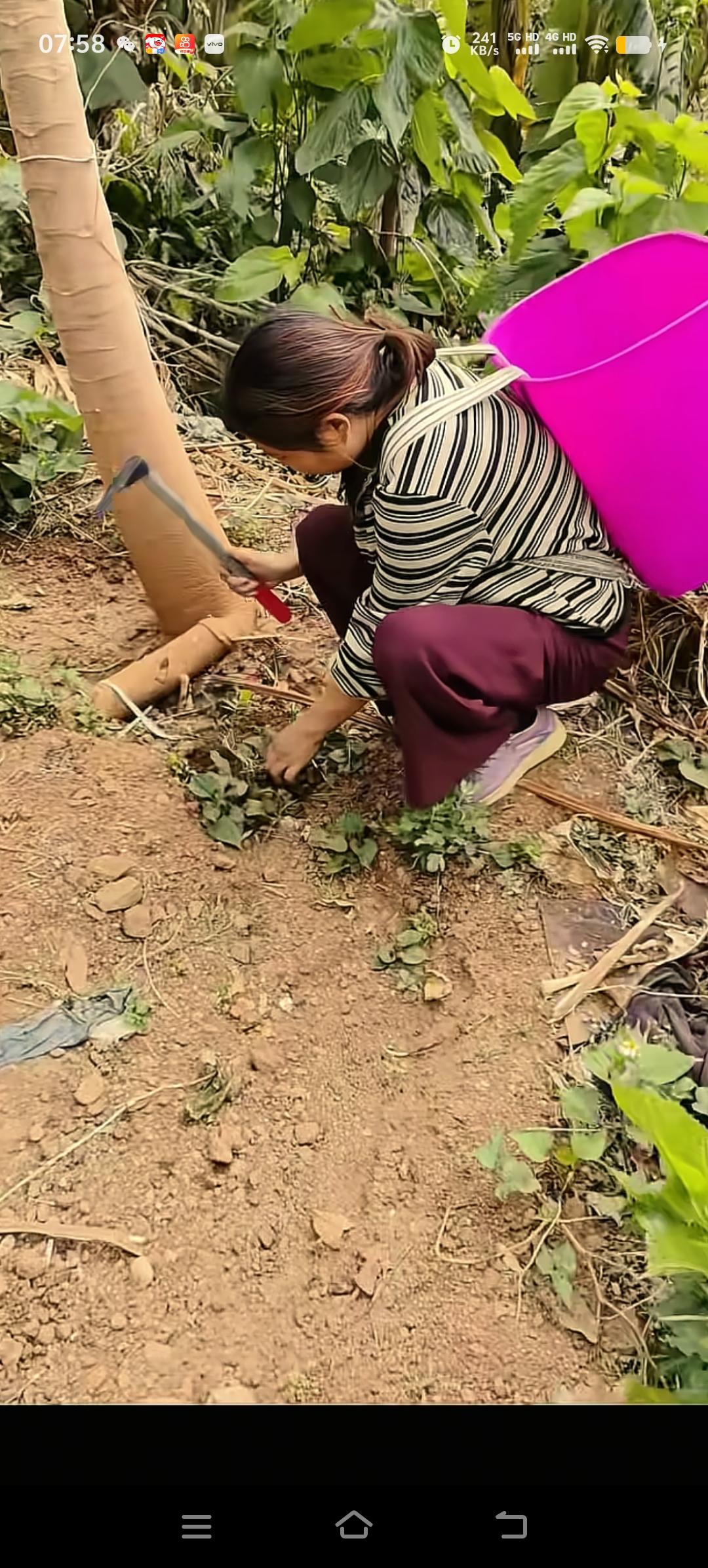 王晓举的母亲背着背篓到户外寻觅土方，以医治自己一身的疾病。途中，即便见到矿泉水瓶