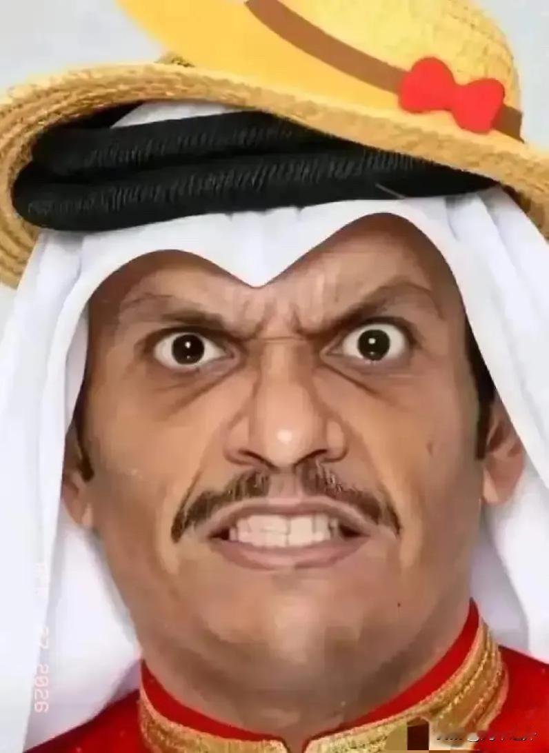 卡塔尔外交部发言人安萨里28日说，卡塔尔坚决反对将霍尔木兹海峡作为施压工具。安萨