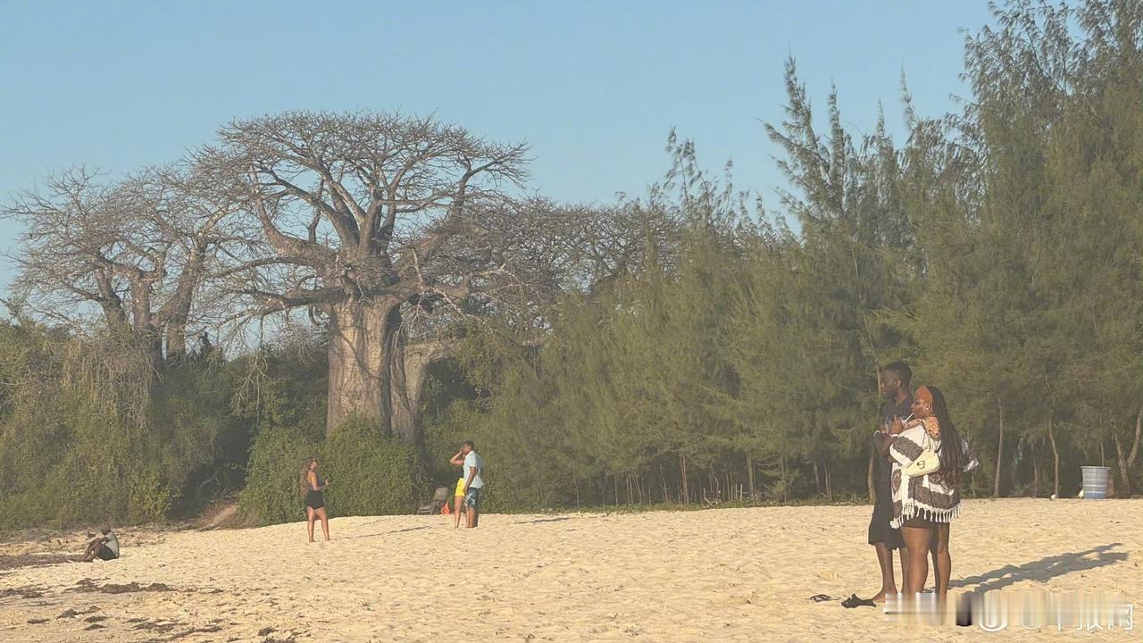 【通道收窄前途迷茫 中国青年“润”出海寻出路】在中国青年失业率徘徊在17%左右的